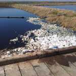 This June 1 photo shows the lagoon in Kipnuk where raw sewage is disposed.