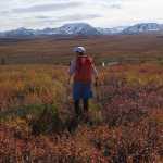 Denali: New name, same park