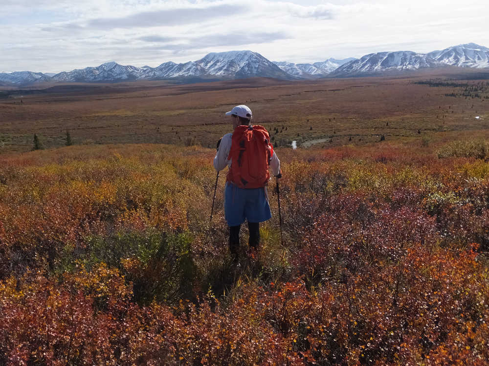 Denali: New name, same park