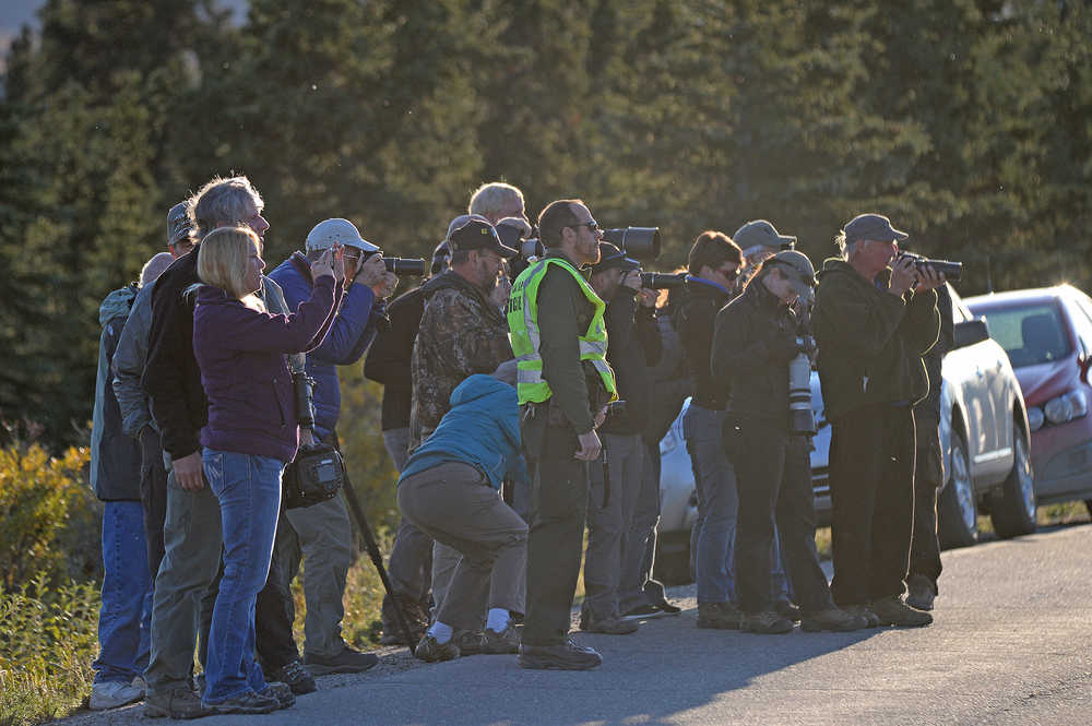 A park ranger at Denali National Park and Preserve makes sure photographers stay a safe distance away from wildlife.