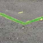 A chevron of grass pushes its way triumphantly through a crack in a Twin Lakes sidewalk.