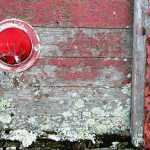 Old truck: still life with tail light and lichens.