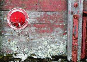Old truck: still life with tail light and lichens.