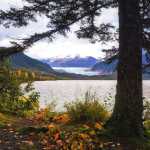 Work by Juneau photographer and artist Betsy Giles will be on view at GCI.