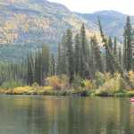 Nils paddles downstream accompanied by Loki, the Zen Master of the Big Salmon River.