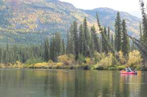Nils paddles downstream accompanied by Loki, the Zen Master of the Big Salmon River.