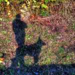 Me and my shadow. Evening light, and fall color, creates a shadow silhouette against the roadside bank.
