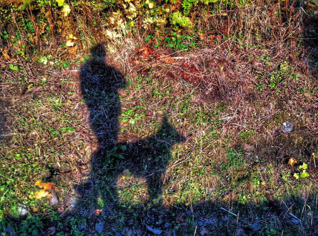 Me and my shadow. Evening light, and fall color, creates a shadow silhouette against the roadside bank.