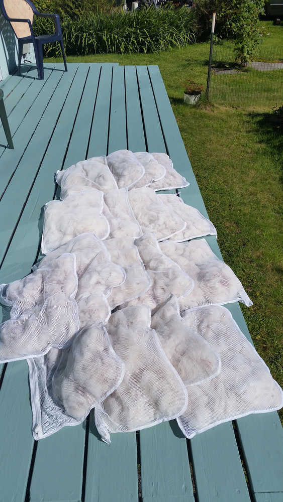 All the wool and hair from one late season goat, which, according to weaver Teri Rofkar, will end up being a little over one pound of wool.