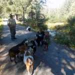 Victor and Tabitha Nelson and their daughter tend to some of their goats on their farm at Point Agassiz on the mainland north of Petersburg.