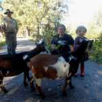Victor and Tabitha Nelson and their daughter tend to some of their goats on their farm at Point Agassiz on the mainland north of Petersburg.