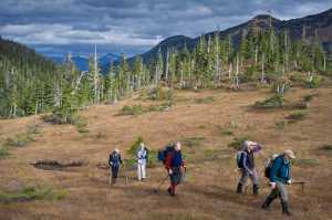 Eva Bornstein, left, Carolyn Gould,Pam Bergeson, Sondra Stanway and Mary Willson, right, hike to Cropley Lake at Eaglecrest as the destination of this weeks Parks & Recreation Wednesday Hike.