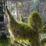 Reaching for the sun.