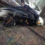 Out of a trap, into a pickle