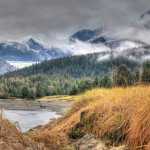 Fall descends on the Eagle Beach meadows near the beginning of October.