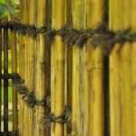Bamboo fence, Japanese Gardens, Portland, Oregon.