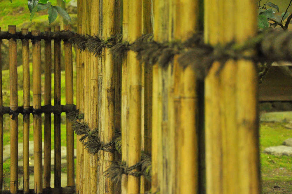 Bamboo fence, Japanese Gardens, Portland, Oregon.