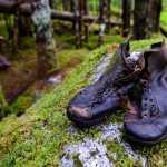 Found shoes at the Mendenhall Glacier in Juneau. One of the book's five sections, into which this photo fits, is "relics."