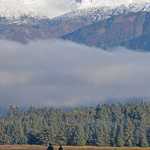Shannon and Tyler Gress run along a curve of North Douglas Highway on Saturday.