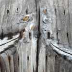Bridge planks on Perseverance Trail. (To my eye there is an illusion that these are not flat, but they are.)