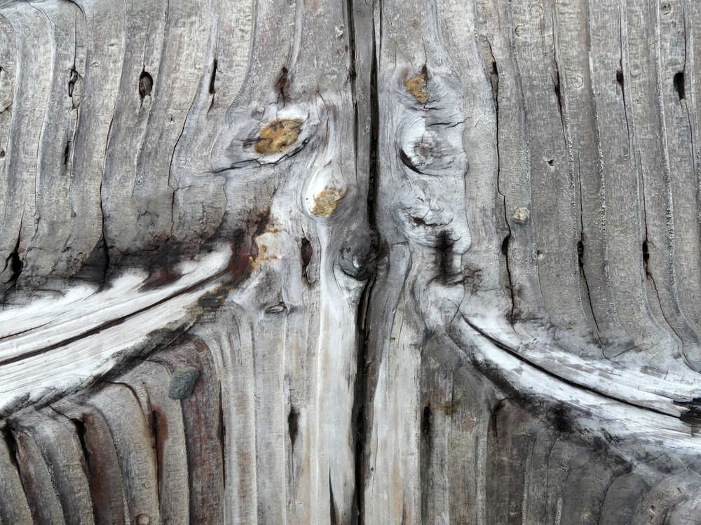 Bridge planks on Perseverance Trail. (To my eye there is an illusion that these are not flat, but they are.)