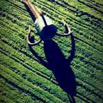 Light and shadow of a lure on a mossy dock, Juneau.