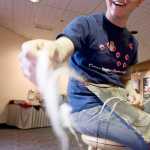 Ricky Tagaban prepares a warp of red cedar bark and merino wool for a future Chilkat weaving during a weavers exhibit in the lobby of Centennial Hall on Thursday during  "Sharing Our Knowledge," a three-day conference of Tlingit tribes and clans, that ran Oct. 28-Nov. 1.