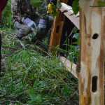 Volunteers work to install a split rail cedar fence along Jordan Creek. They hope the fence will prevent snow from being plowed into the creek.