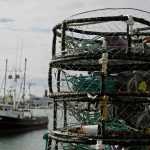 In this Nov. 5 photo, crab pots are stacked along a pier at Fisherman's Wharf in San Francisco. The wharf typically bustles this time of year as dozens of crab fisherman prepare to haul millions of pounds of Dungeness crab that are a tradition at Thanksgiving and other holiday meals. But crab pots are sitting empty on docks, boats are idled and fishermen are anxiously waiting for authorities to open the lucrative Dungeness crab season.