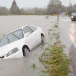 A Honda Civic sits in the ditch off Swan Road after SVC student Chris Dankert hit some high water on his way to Clear Lake from Mount Vernon, Wash. on Tuesday. Dankert was not injured in the incident. The Skagit River will rise about two feet above flood stage late Wednesday in Mount Vernon according to the Northwest River Forecast Center.