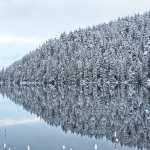 Trees, laden with fresh snow, reflect on the calm surface of Auke Lake in mid-November.
