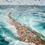 A trawl of roughly 80 tons of pollock is positioned to be hauled aboard the C/P Starbound in the Bering Sea.