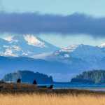 Two hikers enjoy a blue sky day at Boy Scout beach.