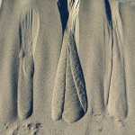 Patterns in the sand dunes in Death Valley National Park, November 2015.