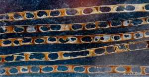 Phlox seed pods on a winter day.