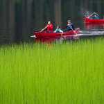 Instructor Fred Hiltner canoes with middle school students Starr George, 13, left, and Halley Washington, 11, as Arianna Hinchman, 13, Mackenzie Gray, 11, and Pearl Sharclane, 12, follow during trip on Auke Lake to study math in a place-based setting on June 25. The week-long Summer Math Academy offered by the Sealaska Heritage Instituite presented middle school-aged students culture and math concepts through traditional practices, such as basketry, canoeing and making bentwood boxes.