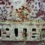 An old stove in the woods slowly returns to the forest floor;