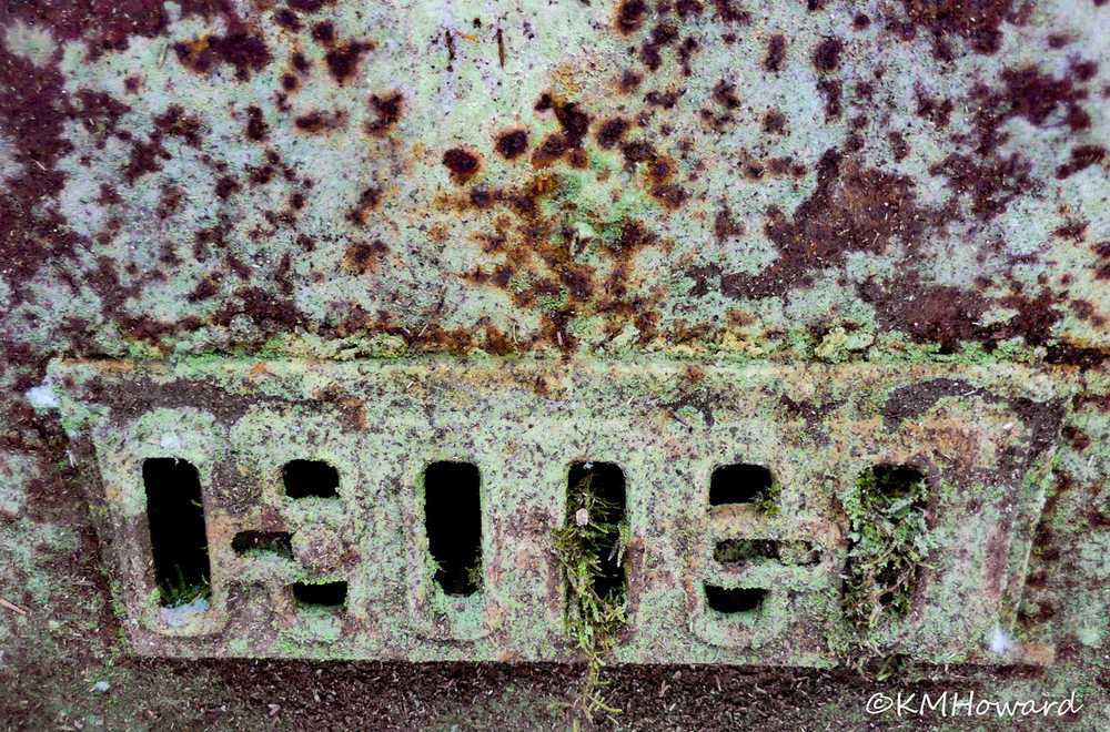 An old stove in the woods slowly returns to the forest floor;
