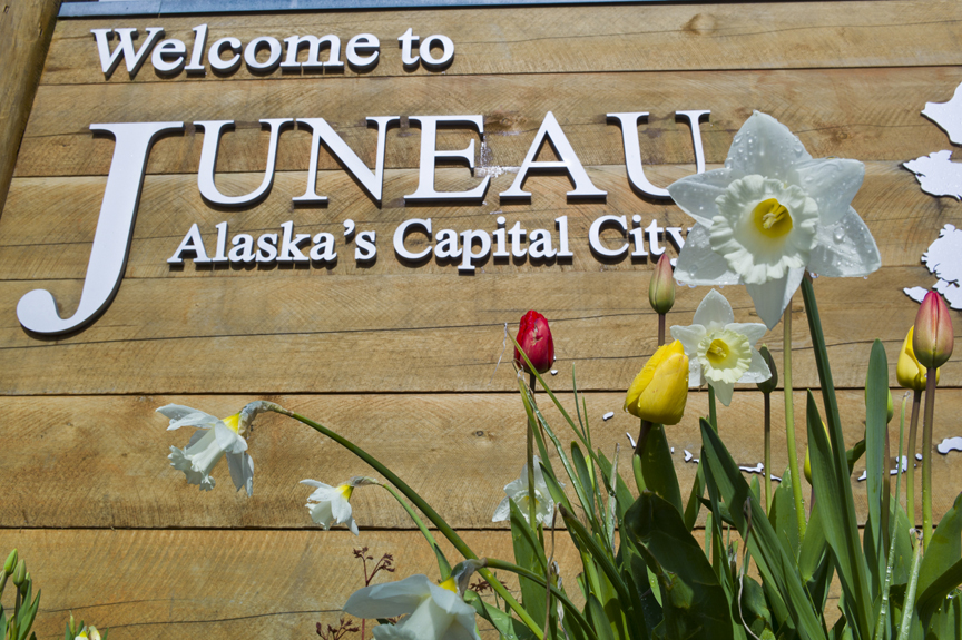In this file photo from May 2015, daffodils and tulips spring up on time for the start of Juneau's cruise ship season.