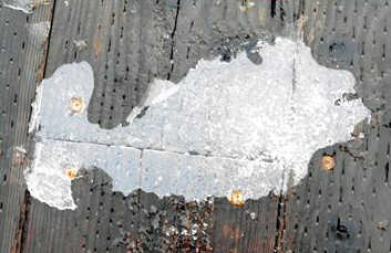 Remnants of ice on the downtown sea walk resemble a fish.