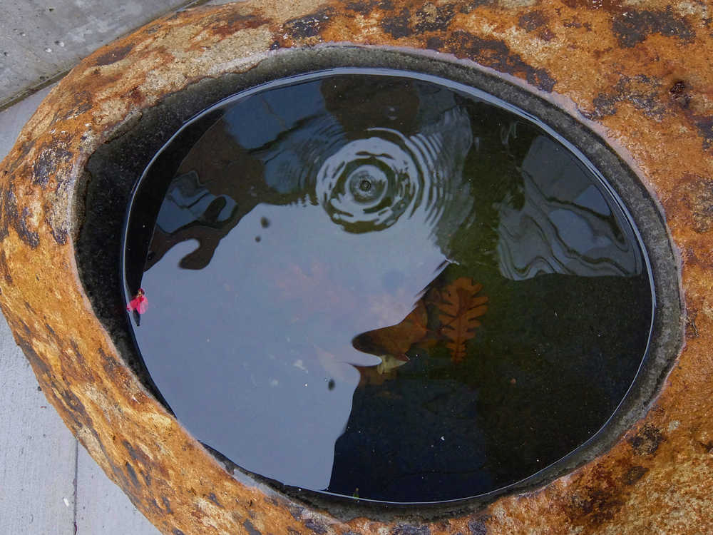 Small reflecting pool in the rain.