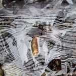 The simple beauty of frozen ice.