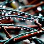 Water droplets on Christmas light wires, January 14, downtown Juneau