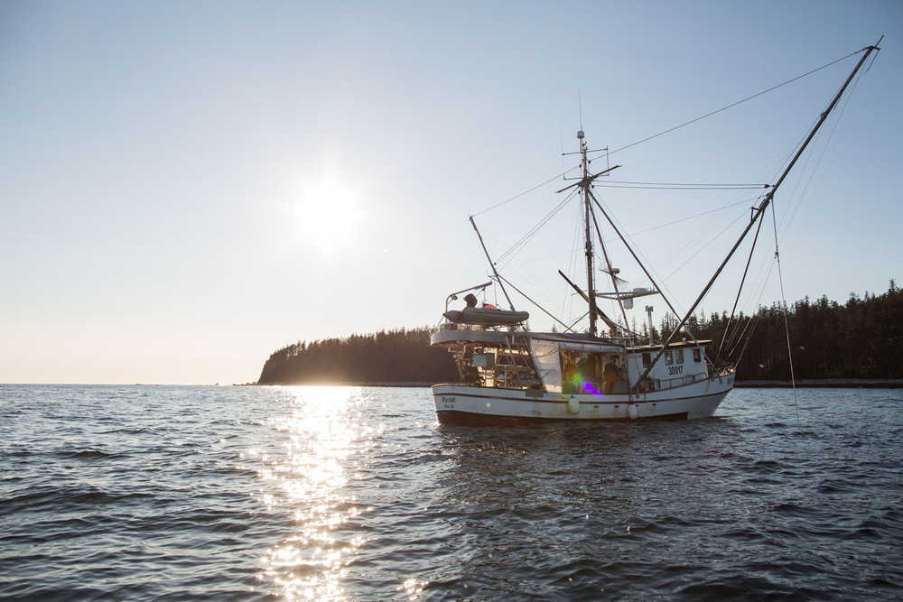 THe Hackett family's frezzer troller, the F/V Myriad, Photo by Ash Adams