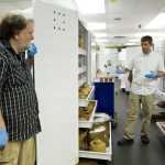 Steve Henrikson, left, Curator of Collections, and Addison Field,Registrar, work in the Alaska State Museum's collections vault in May 2013. They are preparing for a six-week window begininng in March 2014 when they will move the collection to the new vault in the new SLAM building.