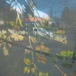 A bird's eye view of the neighborhood.