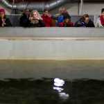People attending the Alaska Young Fishermen's Summit tour the Macaulay Salmon Hatchery on Wednesday.