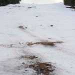 Little snow and recent rains have left minimal snow coverage on the lower part of the Eaglecrest Ski Area on Monday.