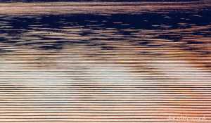 Sunset ripples on a calm January night.