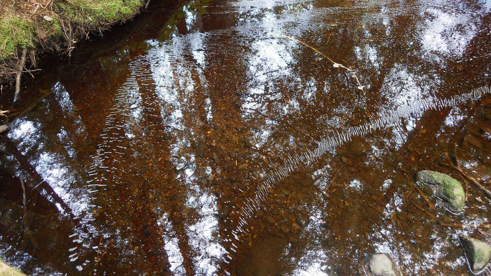 A reflection of the sky in a tiny, slow stream near the Point Bridget trail, as well as a spreading fan of bubbles in a "v" shape. (Photo by Eric Olsen)